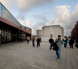 Háskóli Íslands